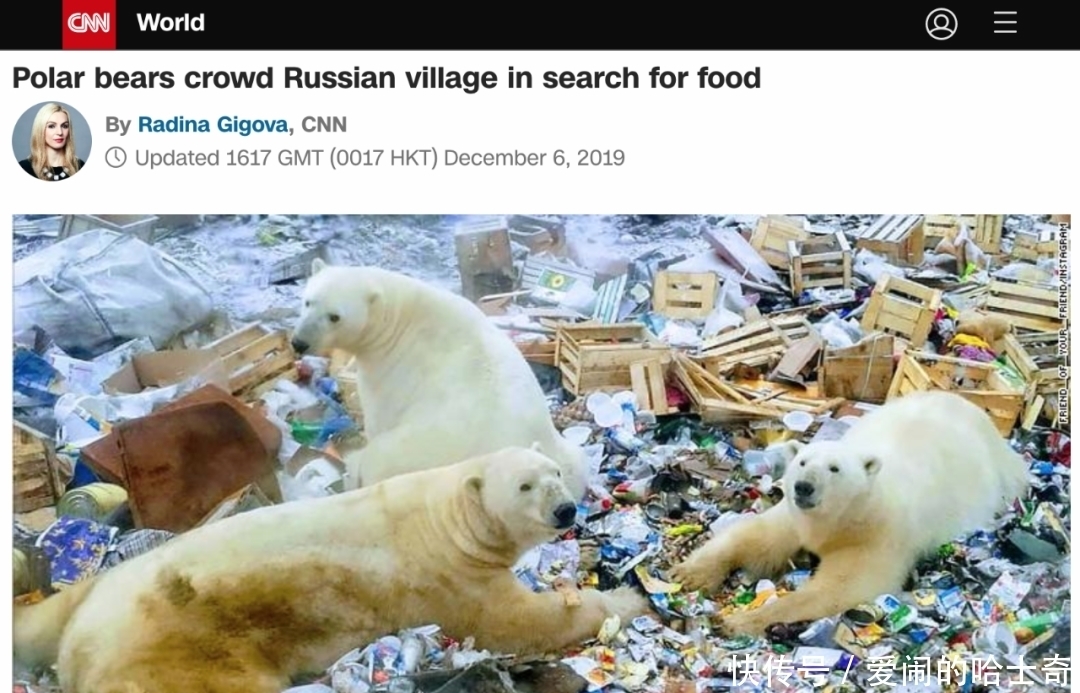 当全网都在催关晓彤给鹿晗庆生时,一场关乎全人类的灾难正悄然降临……