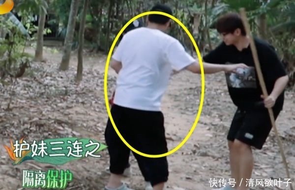 向往的生活|汪苏泷不小心打到张子枫，谁注意彭昱畅的第一反应比言情小说还甜