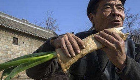 老中医|老中医建议大葱能少吃就少吃，最好别吃，很多人不清楚