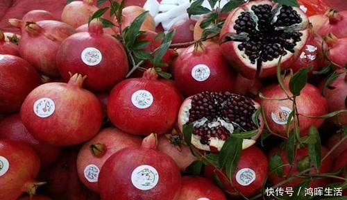 大果型黑籽甜石榴有什么特点大果型黑籽甜石榴适宜在哪里种植