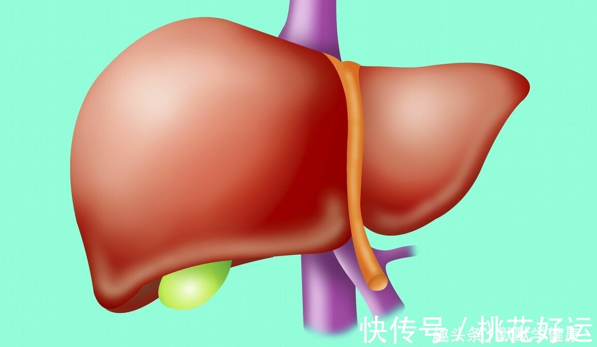 足少阳胆经|国医泰斗金世元：中医护肝有10法，要养肝就别错过！