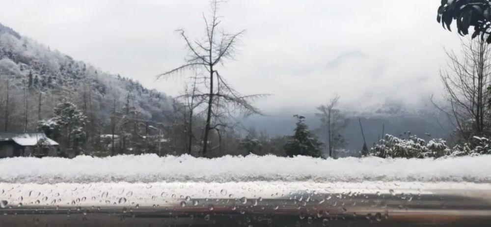 一大|德阳各地雪景美照大曝光！隔壁城市都羡慕哭了！一大波视频照片……