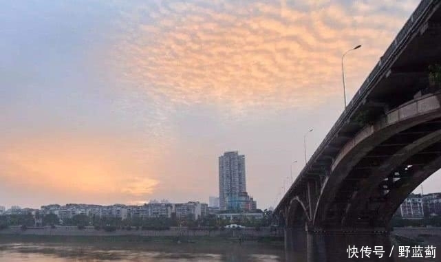 专家|这座桥被专家鉴定为危桥,安放380公斤炸药爆破,结果却值得深思