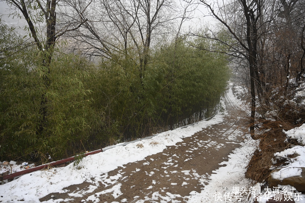 120人的山村现仅剩5户，下雪后女人们聚在一起闲谝咱山里真好