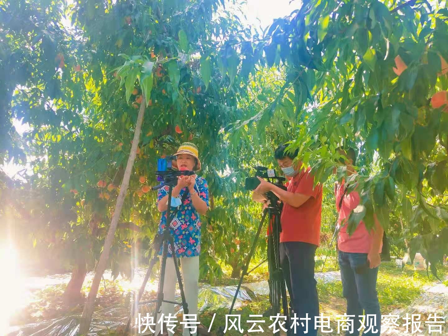 农产品|提升公共品牌影响力 顺平网红带货直播活动｜轩琪案例