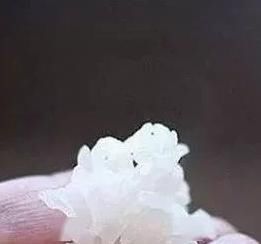 鱼类|钓鱼界公认的“万能鱼饵”,适用于任何鱼类,家家户户都有