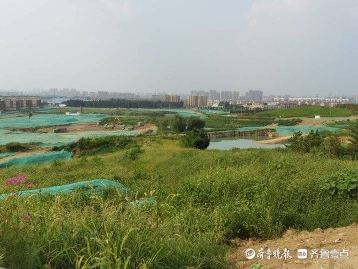 加速度|淄博“有解”①丨破解低效用地难题!未来之城跑出经开“加速度”
