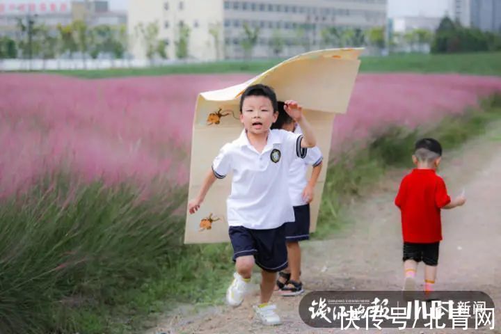 美女|太梦幻！杭州这里美成粉色海洋，小时新闻美女记者实拍支招