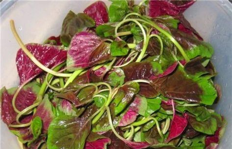 以下3种食物女性可常吃，美容养颜，补血益气，提高免疫力