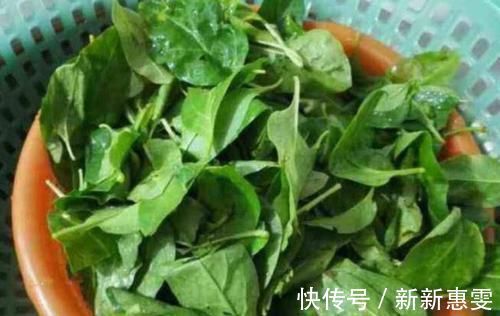 年轻|女性过了45岁,多吃3种碱性食物,帮你补足雌激素,年轻不显老!