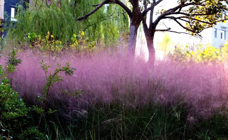 采风行|“精品弘润·与您同行 ”——潍坊弘润媒体采风行圆满结束！