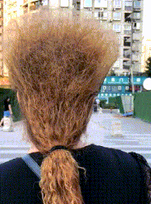 |搞笑GIF：大叔用的什么牌子的洗发膏，头发如此飘逸