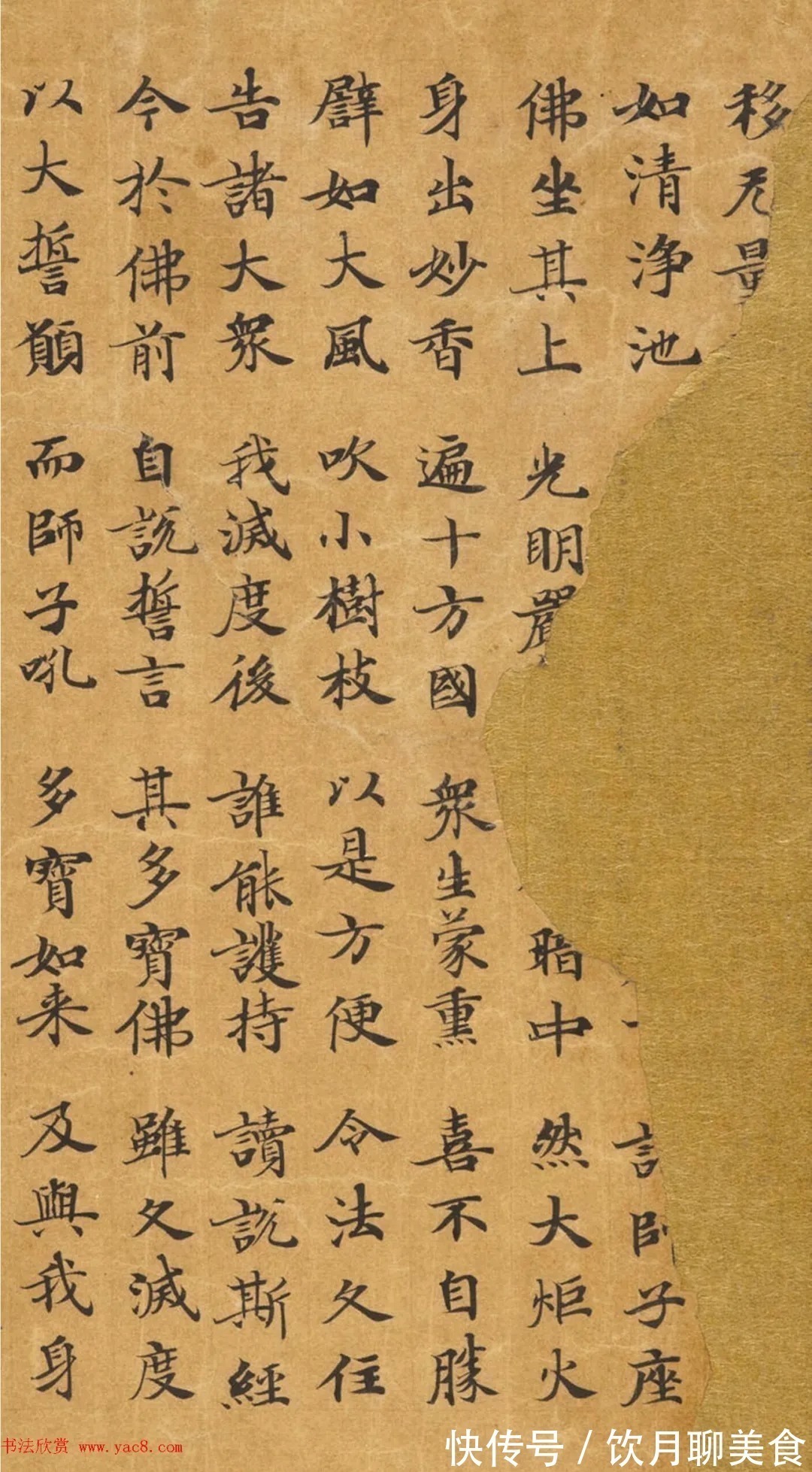 安昌$唐代封安昌楷书《妙法莲华经》虞世南之子监制