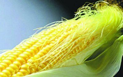 尿酸|高尿酸不用怕，常吃这些食物，尿酸回归正常，痛风“绕道走”