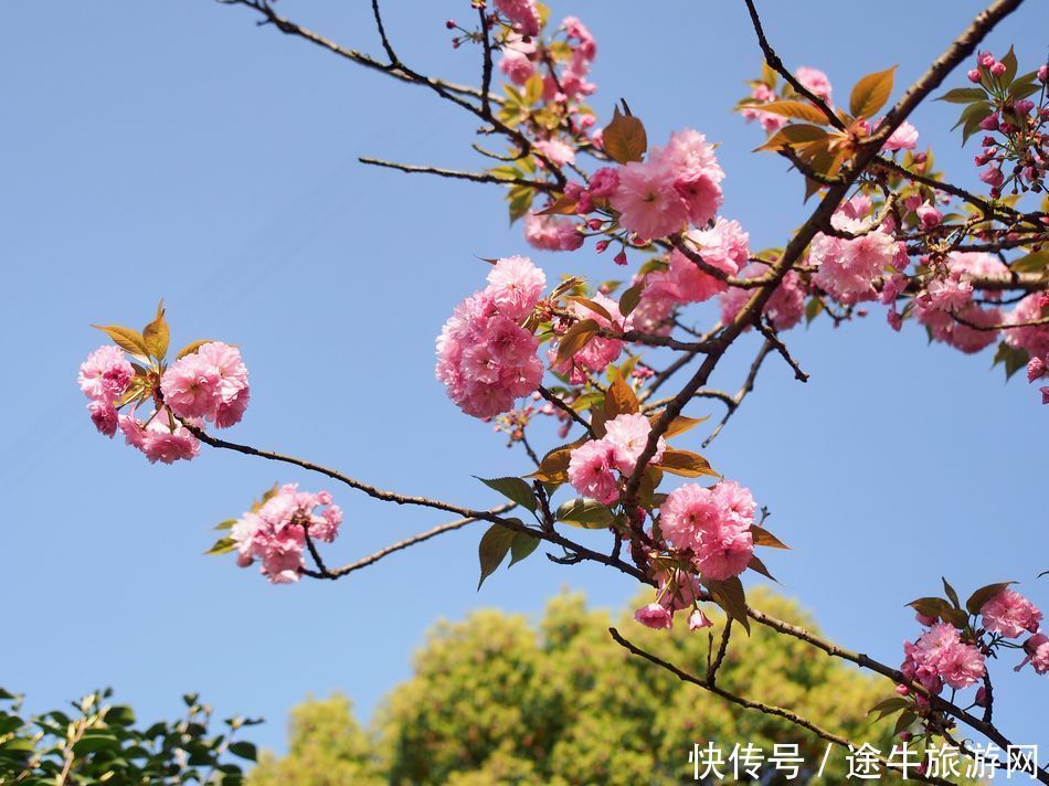 桐庐天子地，集樱花林、溶洞、湖泊峡谷的小众目的地，人少景美