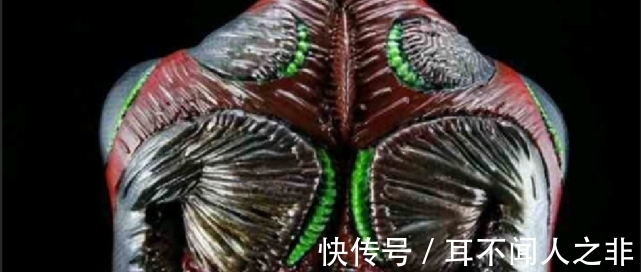 强壮|初代奥特曼怪兽化手办,造型强壮邪魅,疑似扎拉布星人