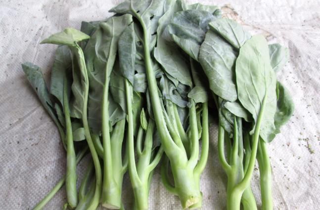 草酸|补钙只知道牛奶和钙片?6种绿叶菜含钙比牛奶还高