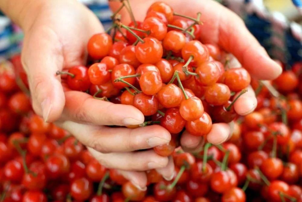 带上你的“李焕英”来绍兴，让她更高兴！