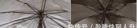 口袋伞 “告别”了防晒霜，薇娅“口袋伞”一夜爆红，40度出门不怕晒！