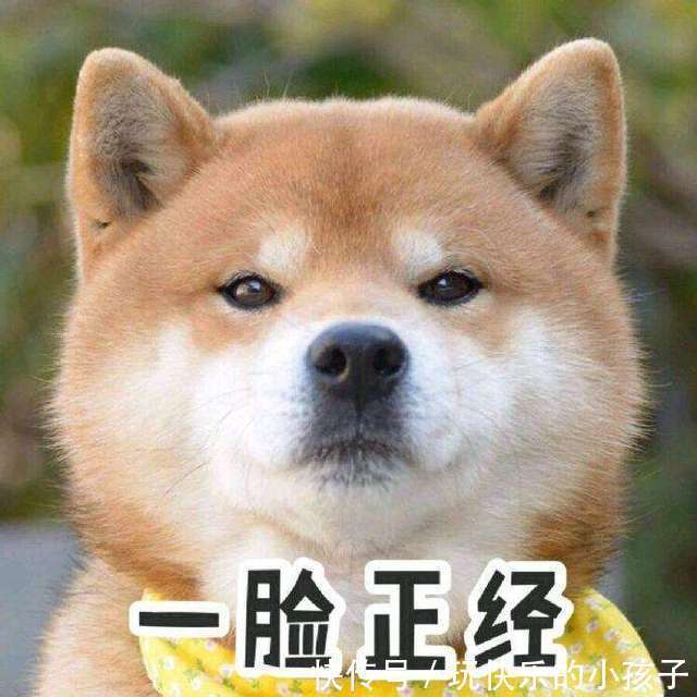 |幽默笑话:昨晚打麻将,坐对面一姑娘一直输