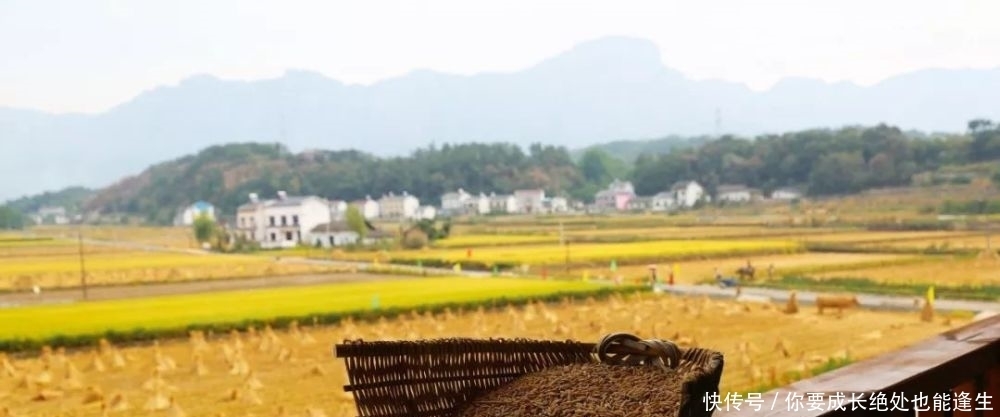 思乡|十首乡愁诗,解你思乡之情