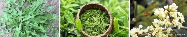 白色|你知道鼻子上挤出的“白色物体”到底是什么吗?