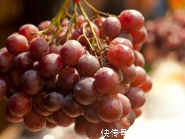 怀孕|女人怀孕后,尽量多吃4种常见食物,益智安胎,宝宝更出生后聪明