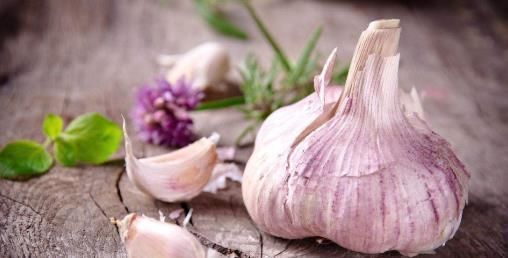 大蒜|大蒜放进耳朵太神奇了,十人有九人不知,后悔现在才知道