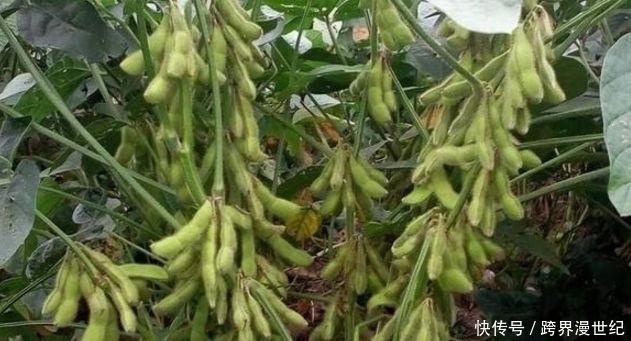 春天了,女性要吃幾種食物,皺紋色斑消失,氣色紅潤,遠離不適