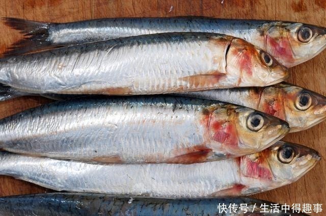 海鱼|买鱼时，就买这5种，都是野生鱼，目前无法人工养殖，可放心食用