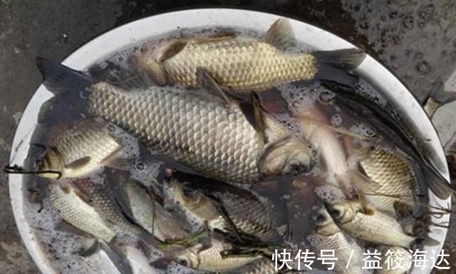 窝料|别嫌冬钓诱鱼慢,只需换用这八字诀,窝料入水就来鱼,不信你试试