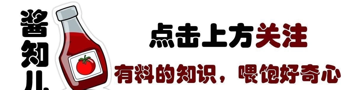 对比|欧洲发现3500年前陶猪,与中国同时代青铜猪一对比,高下立判
