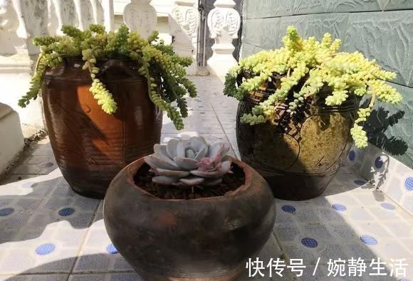 花盆|花盆不用买,变废为宝做一个,比买的还好看,分分钟惊艳朋友圈