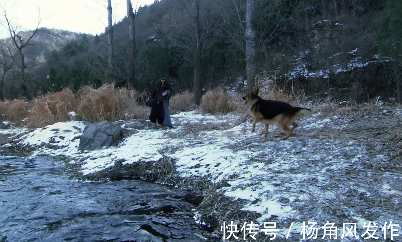 黄狗$水浒传:开场能打虎,下场被狗欺,武松为何落得如此狼狈的下场?