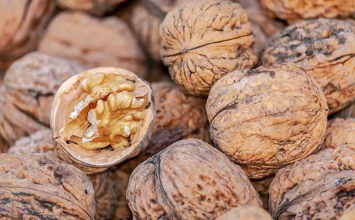 老年人|建议老年人:如果不差钱尽量多吃这种食物,营养健康,提高免疫力