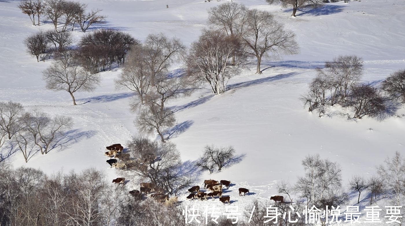 大雪#元代诗人一首咏雪七律，风竹云松银凤玉龙，浪漫主义情调让人心动