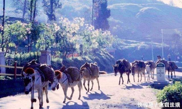 年代|和我在1980年代的时光路上走一走，那时不富有但快乐