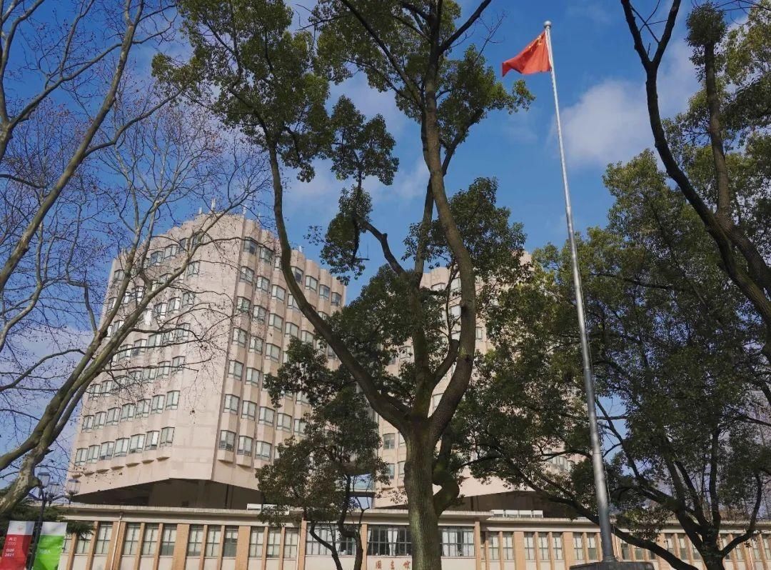 古城|春到同济!太(you)爱(fu)了(li)!