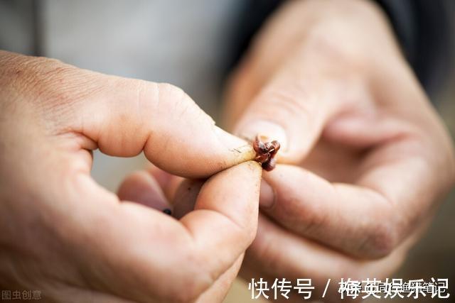 七岁小孩琢磨出的蚯蚓钓鱼绝招,竿竿中大鱼,湖边大人纷纷效仿