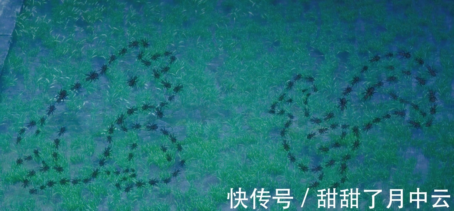 汪叽&魔道祖师羡羡“欺骗”汪叽的感情汪叽终究是错付了!