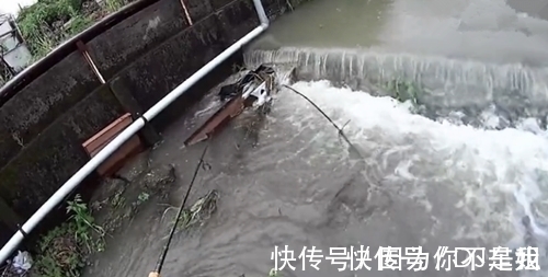 河边角落杂草处有大鱼,不想下去抓,鱼饵一扔就钓获大鱼,真幸运