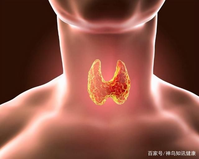 结节|体检查出来甲状腺结节，到底要不要切除？医生：取决于这三点