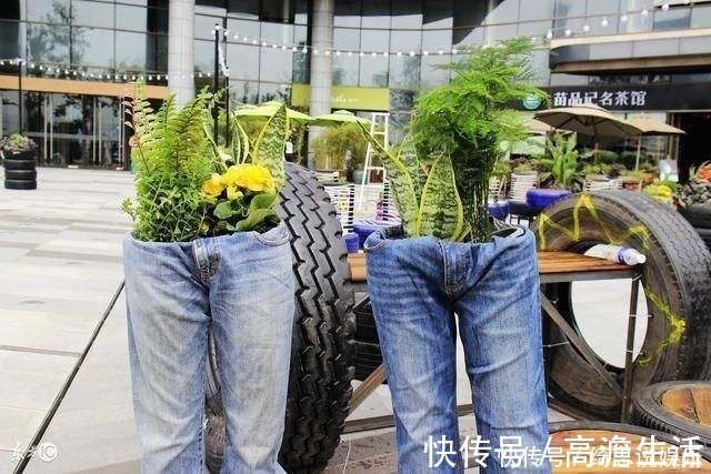 花盆|他用这东西养花,把半夜踩点的小偷吓半死,长势旺到不行!