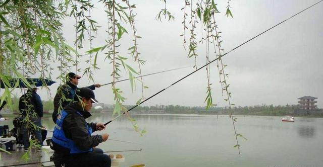 钓了这么多年鱼,才知春钓“好天气”竟在此时,怪不得我总不上鱼