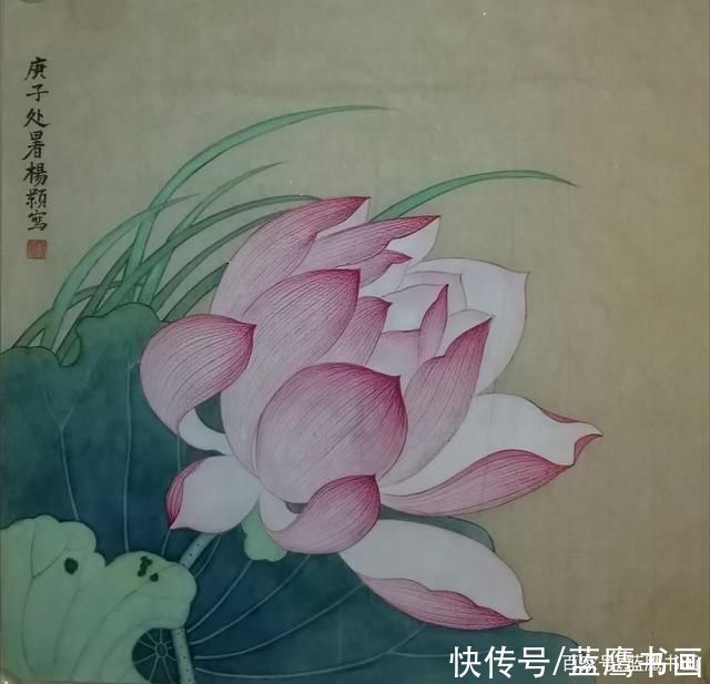 赏荷|杨颢作品:荷月赏荷