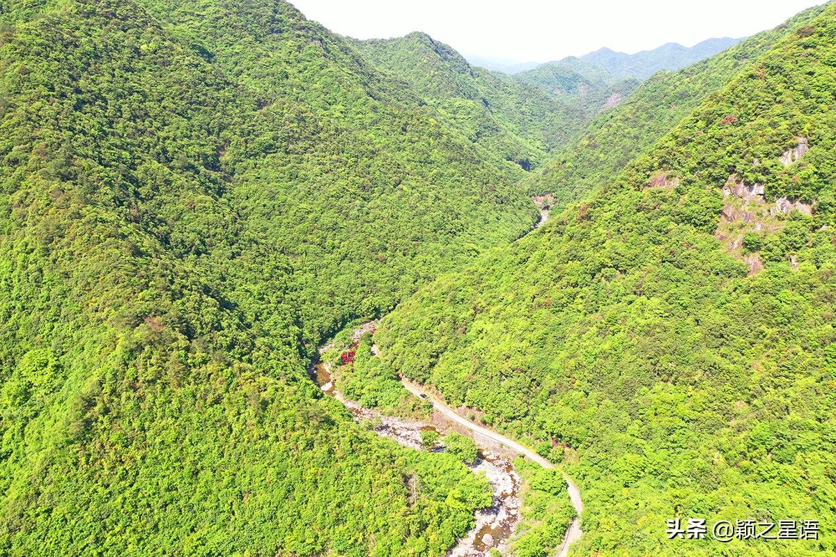 王师傅|隐居深山的神仙生活，每年自酿三季野果酒，秋天采摘野生猕猴桃