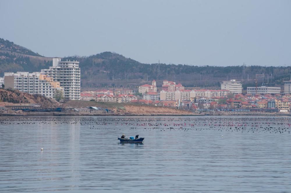 海水|美丽的岛屿总能吸引人们向往，中国这些小岛你知道吗