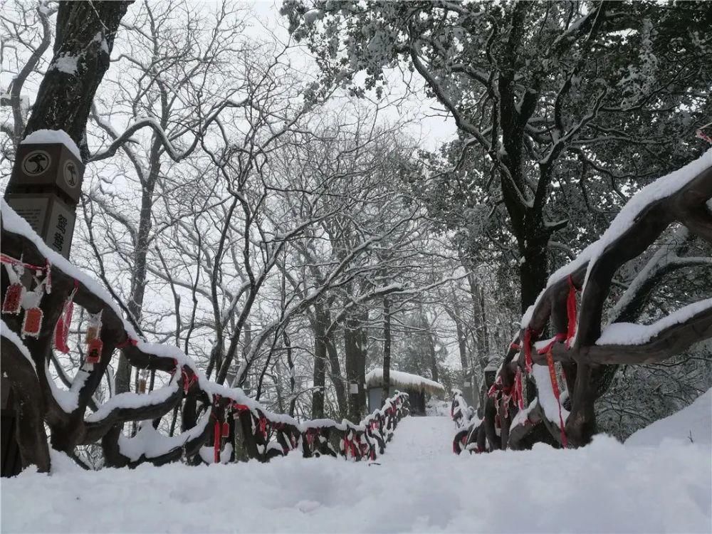 美成|美炸了！雪后鬼谷岭雾凇云海，银装素裹美成仙境！