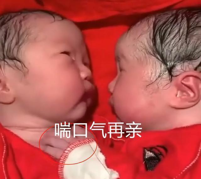 陪伴|龙凤胎兄妹刚出生就一直亲,护士刚分开,又抱到了一起,暖心
