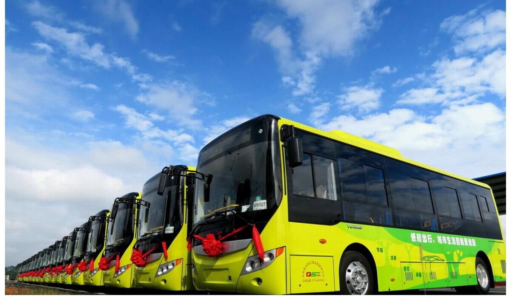 王朔|王朔：为何形容“赵忠祥”公共汽车？死后，才懂坑惨收藏者的真相